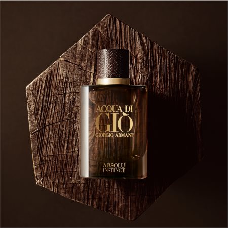 Armani Acqua di Giò Absolu Instinct Eau de Parfum for Men | notino.ie