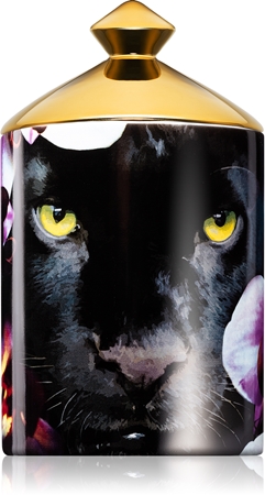 Ashleigh & Burwood London Wild Things Born With Cattitude mirisna svijeća