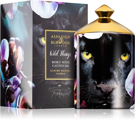 Ashleigh & Burwood London Wild Things Born With Cattitude mirisna svijeća