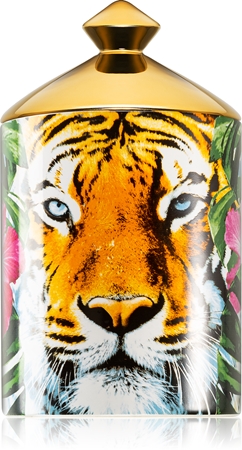 Ashleigh & Burwood London Wild Things Crouching Tiger bougie parfumée