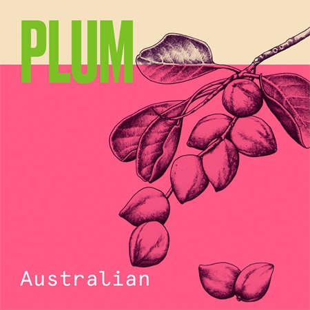 Aussie Aussome Volume šampon za fine in tanke lase