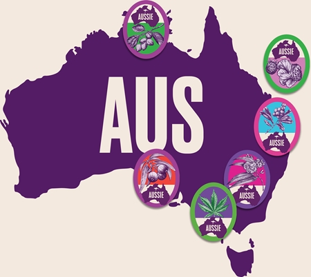 Aussie Miracle Moisture drėkinamasis šampūnas