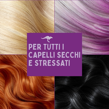 Aussie SOS Repair, Revive & Repeat confezione regalo per capelli e cuoi capelluti stanchi