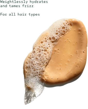 Aveda Sap Moss™ Weightless Hydrating Shampoo ελαφρύ ενυδατικό σαμπουάν για την αντιμετώπιση του κρεπαρίσματος μαλλιών