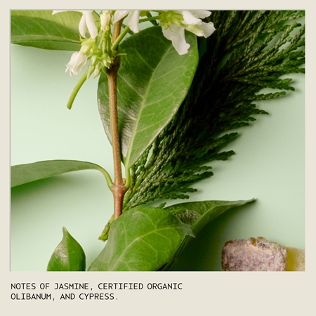 Aveda Sap Moss™ Weightless Hydrating Shampoo ελαφρύ ενυδατικό σαμπουάν για την αντιμετώπιση του κρεπαρίσματος μαλλιών