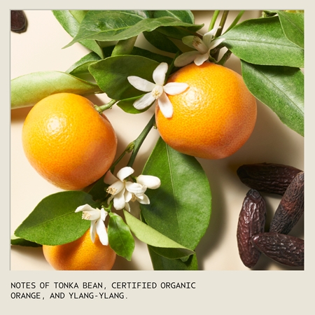 Aveda Cherry Almond Softening Shampoo θρεπτικό σαμπουάν Για λάμψη και απαλότητα μαλλιών