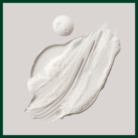Aveda Shampure™ Nurturing Shampoo Soothing Shampoo for all hair types