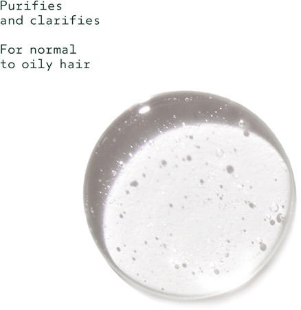 Aveda Rosemary Mint Purifying Shampoo Dybderensende shampoo Til glans
