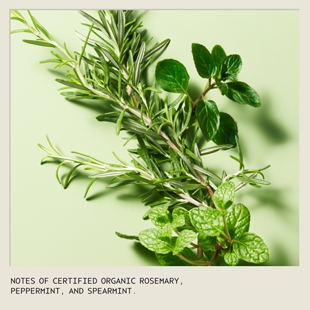 Aveda Rosemary Mint Purifying Shampoo σαμπουάν για βαθύ καθαρισμό για λάμψη
