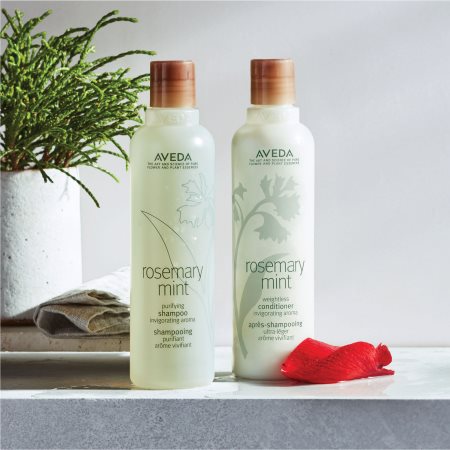 Aveda Rosemary Mint Purifying Shampoo hĺbkovo čistiaci šampón pre lesk