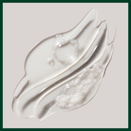 Aveda Rosemary Mint Purifying Shampoo Dziļi attīrošs šampūns spīdumam