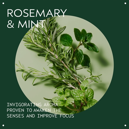 Aveda Rosemary Mint Purifying Shampoo Dziļi attīrošs šampūns spīdumam