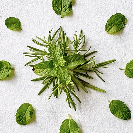 Aveda Rosemary Mint Purifying Shampoo Djupt ren- och klargörande schampo För lyster