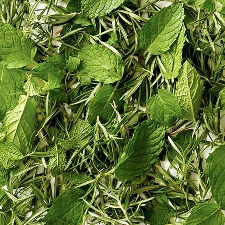 Aveda Rosemary Mint Purifying Shampoo Djupt ren- och klargörande schampo För lyster
