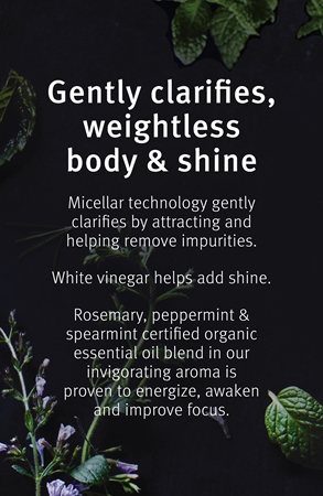 Aveda Rosemary Mint Weightless Conditioner balsam de îngrijire delicată pentru un par stralucitor si catifelat