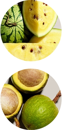 Aveda Smooth Infusion™ Perfect Blow Dry gladilno pršilo za sušenje s sušilcem proti krepastim lasem