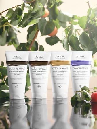Aveda Color Renewal Color & Shine Treatment Μάσκα με τεχνολογία bonding color για τα μαλλιά