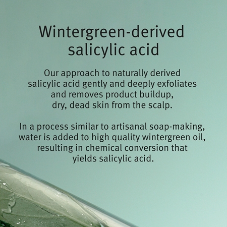 Aveda Scalp Solutions Exfoliating Scalp Treatment gel exfoliant pentru refacerea scalpului