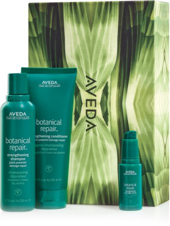 Aveda Botanical Repair™ Set Geschenkset (für das Haar)