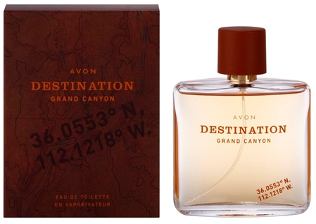 Avon Destination Grand Canyon Eau de Toilette til mænd