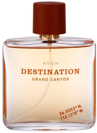 Avon Destination Grand Canyon Eau de Toilette til mænd