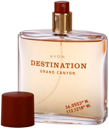 Avon Destination Grand Canyon Eau de Toilette til mænd