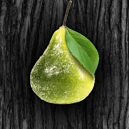 Axe Black Frozen Pear & Cedarwood déodorant solide