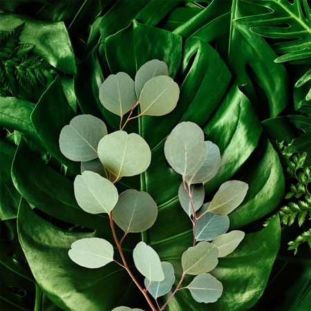 Axe Wild Green Mojito & Cedarwood sprchový gél pre mužov