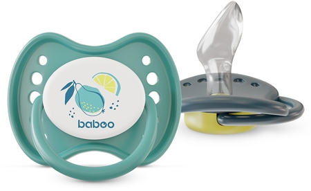 Baboo Soothers Silicone Orthodontic with Case dudlík