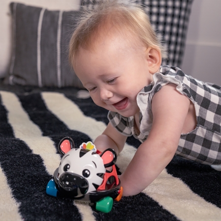 Baby Einstein Zen the Zebra™ Curious Car autíčko s chrastítkem