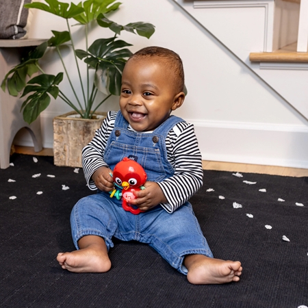 Baby Einstein Roxy's Bright Flight™ μουσικό παιχνίδι