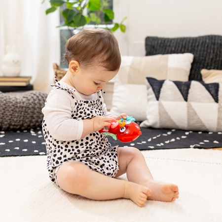 Baby Einstein Roxy's Bright Flight™ μουσικό παιχνίδι