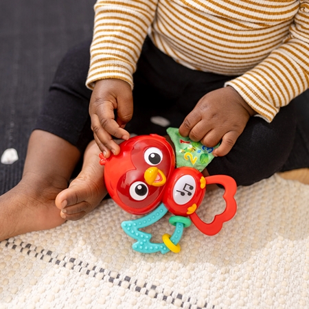 Baby Einstein Roxy's Bright Flight™ μουσικό παιχνίδι