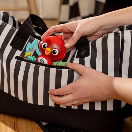 Baby Einstein Roxy's Bright Flight™ μουσικό παιχνίδι