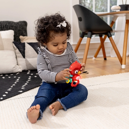 Baby Einstein Roxy's Bright Flight™ μουσικό παιχνίδι