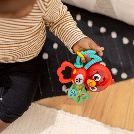 Baby Einstein Roxy's Bright Flight™ μουσικό παιχνίδι