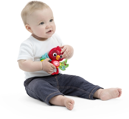 Baby Einstein Roxy's Bright Flight™ μουσικό παιχνίδι