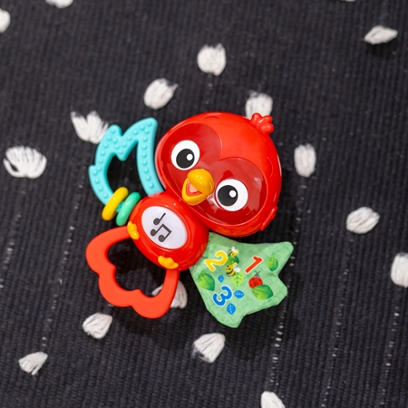 Baby Einstein Roxy's Bright Flight™ μουσικό παιχνίδι