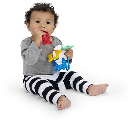 Baby Einstein Ocean Explorers Sea of Sensory Teether Toy chew toy