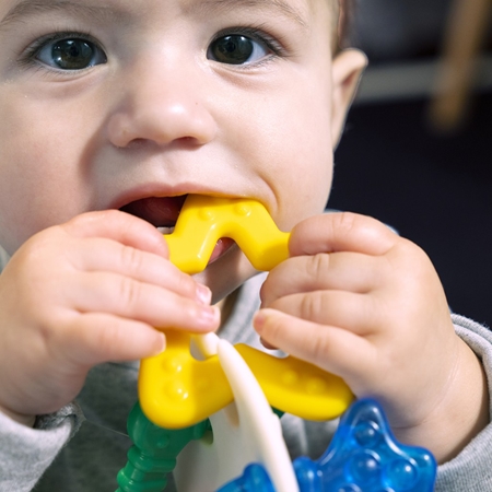 Baby Einstein Ocean Explorers Sea of Sensory Teether Toy chew toy
