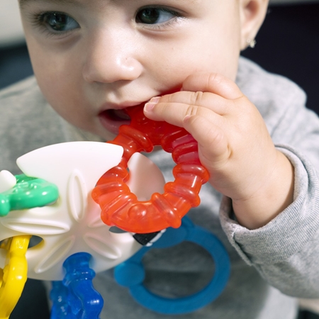 Baby Einstein Ocean Explorers Sea of Sensory Teether Toy chew toy
