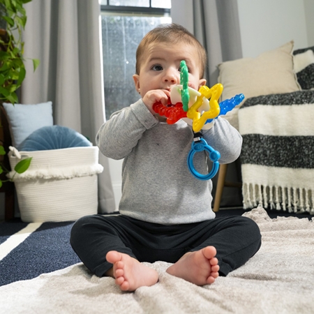 Baby Einstein Ocean Explorers Sea of Sensory Teether Toy chew toy