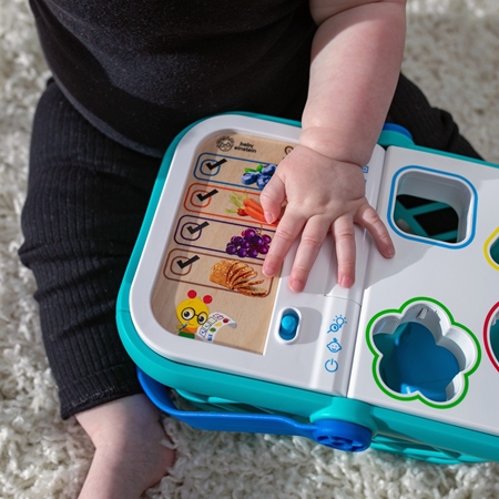 Baby Einstein Hape Magic Touch Shopping Basket activity toy