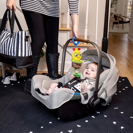 Baby Einstein Cal-a-Puller™ brinquedo com roca