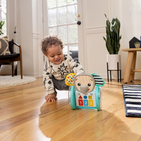 Baby Einstein Chase & Tap Earl Interactive Crawling Toy музична іграшка