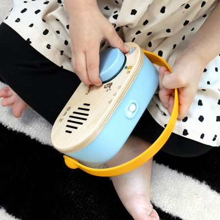 Baby Einstein Discovery Radio™ HAPE musical toy