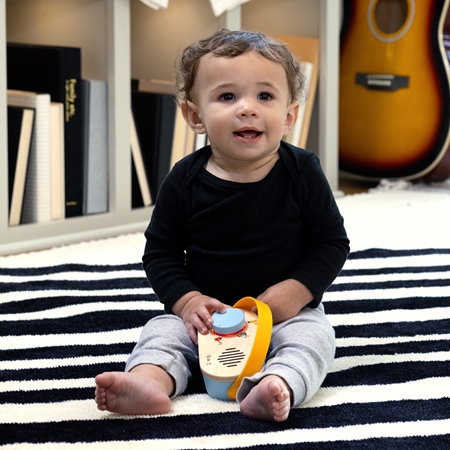 Baby Einstein Discovery Radio™ HAPE musical toy