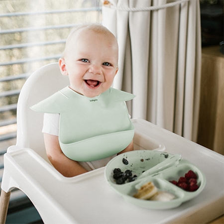 BabyOno Siilicone Plate 6m+ divided plate with suction cup
