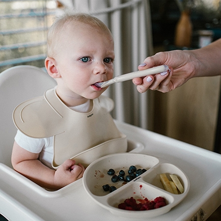 BabyOno Siilicone Plate 6m+ divided plate with suction cup