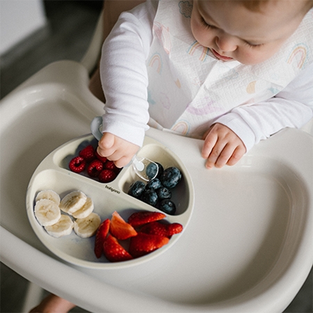 BabyOno Siilicone Plate 6m+ divided plate with suction cup
